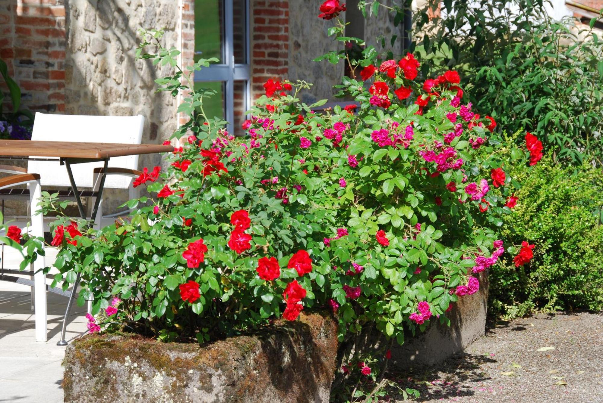 Les Maisons De Concasty ボワセ 部屋 写真